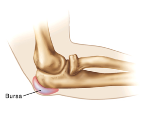 Inside view of elbow bones with bursa.