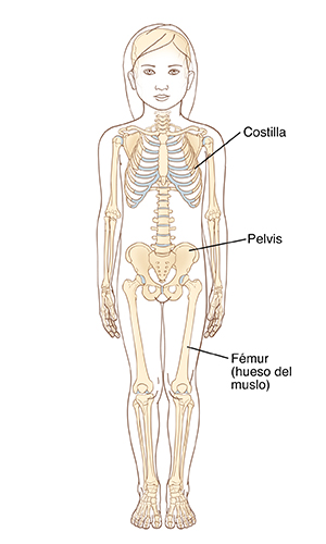 Contorno de un niño en el que se ve el esqueleto.