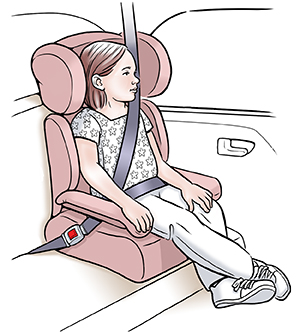 Niño pequeño en un asiento elevador dentro de un automóvil.