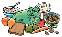 Image showing high-fiber foods like fruits, vegestables, legumes, nuts, seeds, and grains.